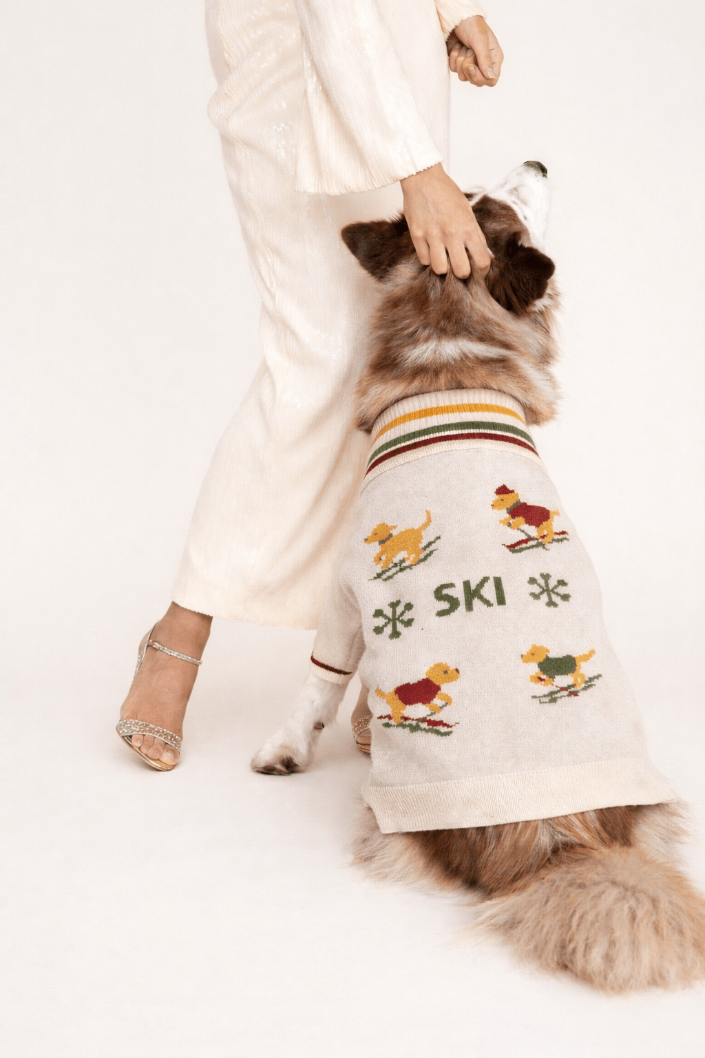 Ski Trui