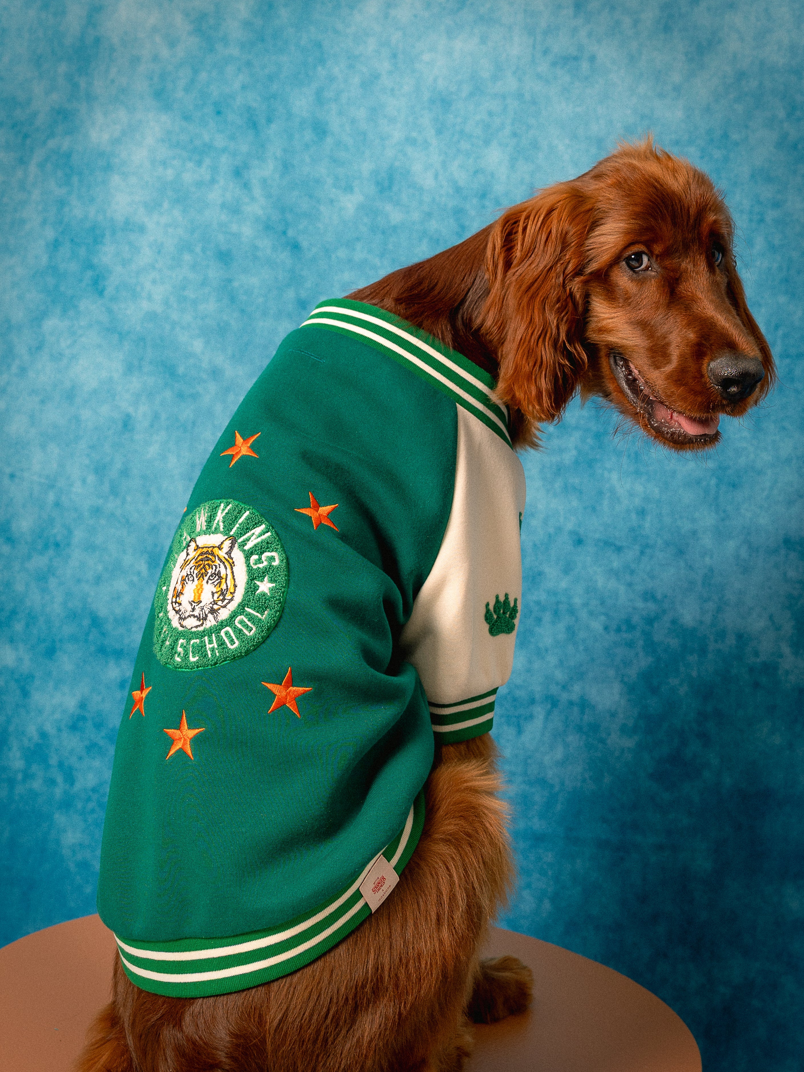 Varsity Bomberjack