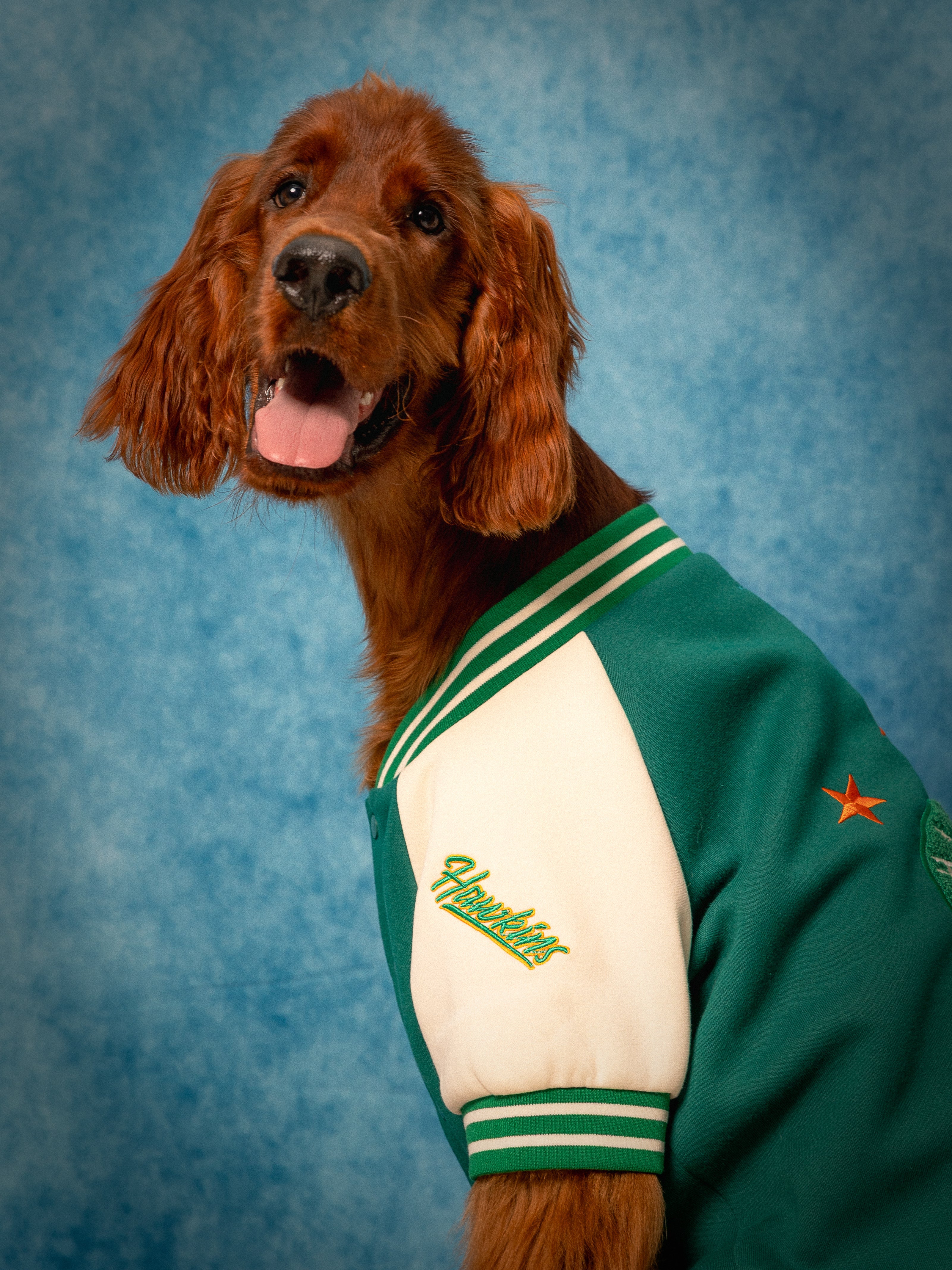 Varsity Bomberjack
