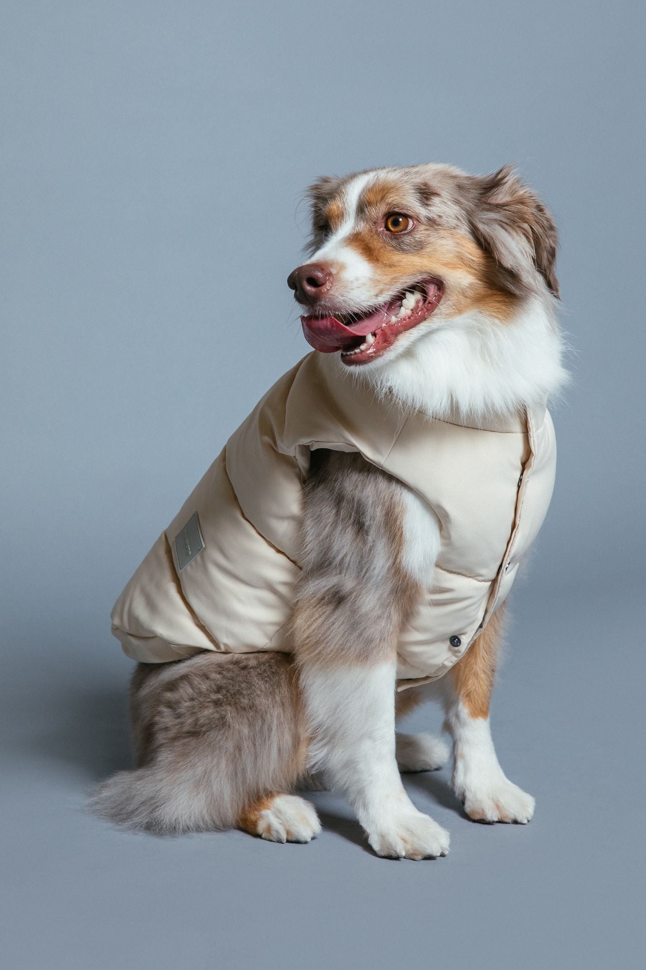 Puffer Vest — OneRip