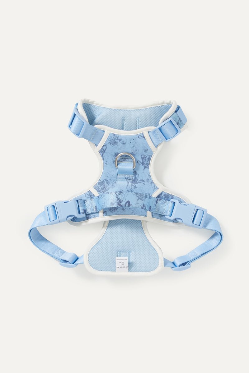 Luxe Hondenriem Set