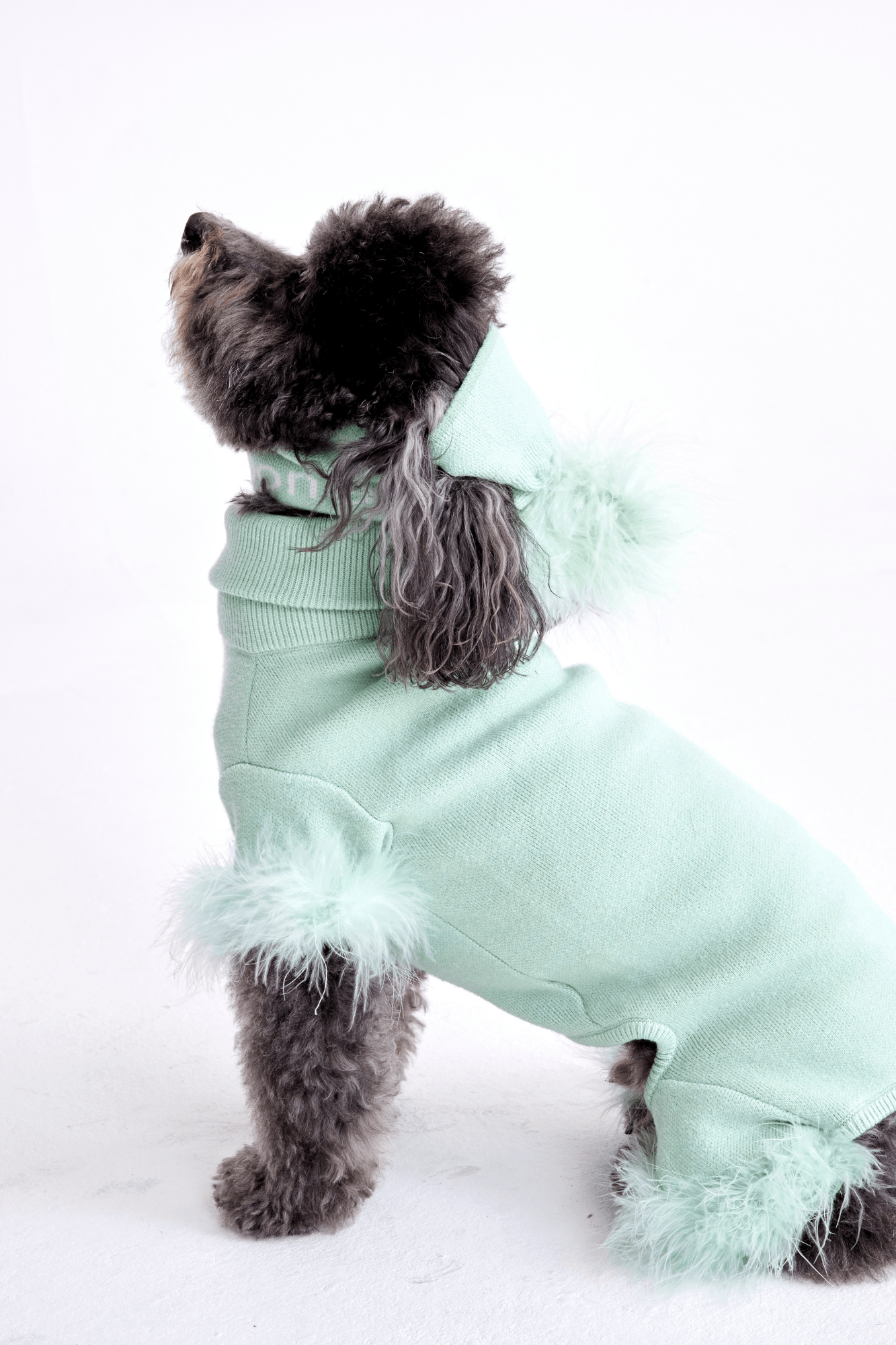 Balaclava met Veren