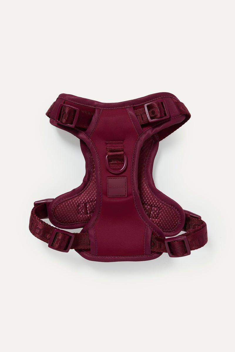 Comfortabel Hondentuigje