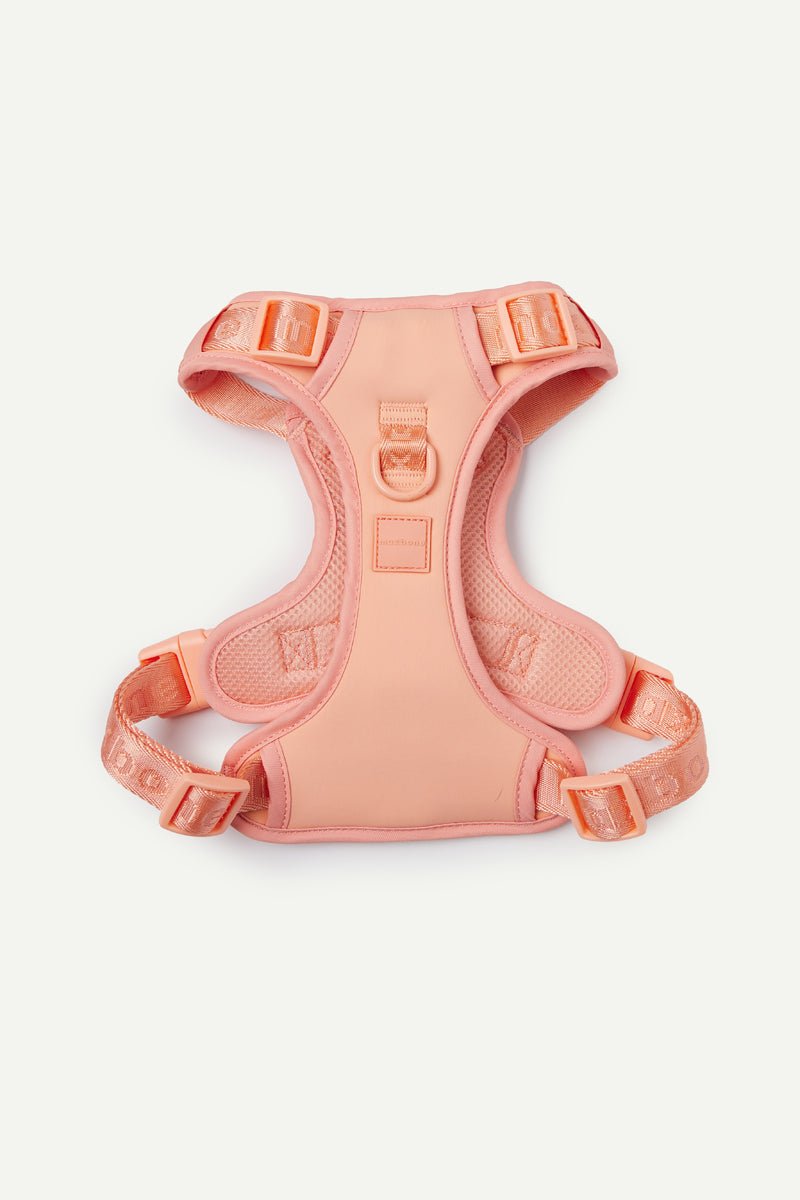 Comfortabel Hondentuigje