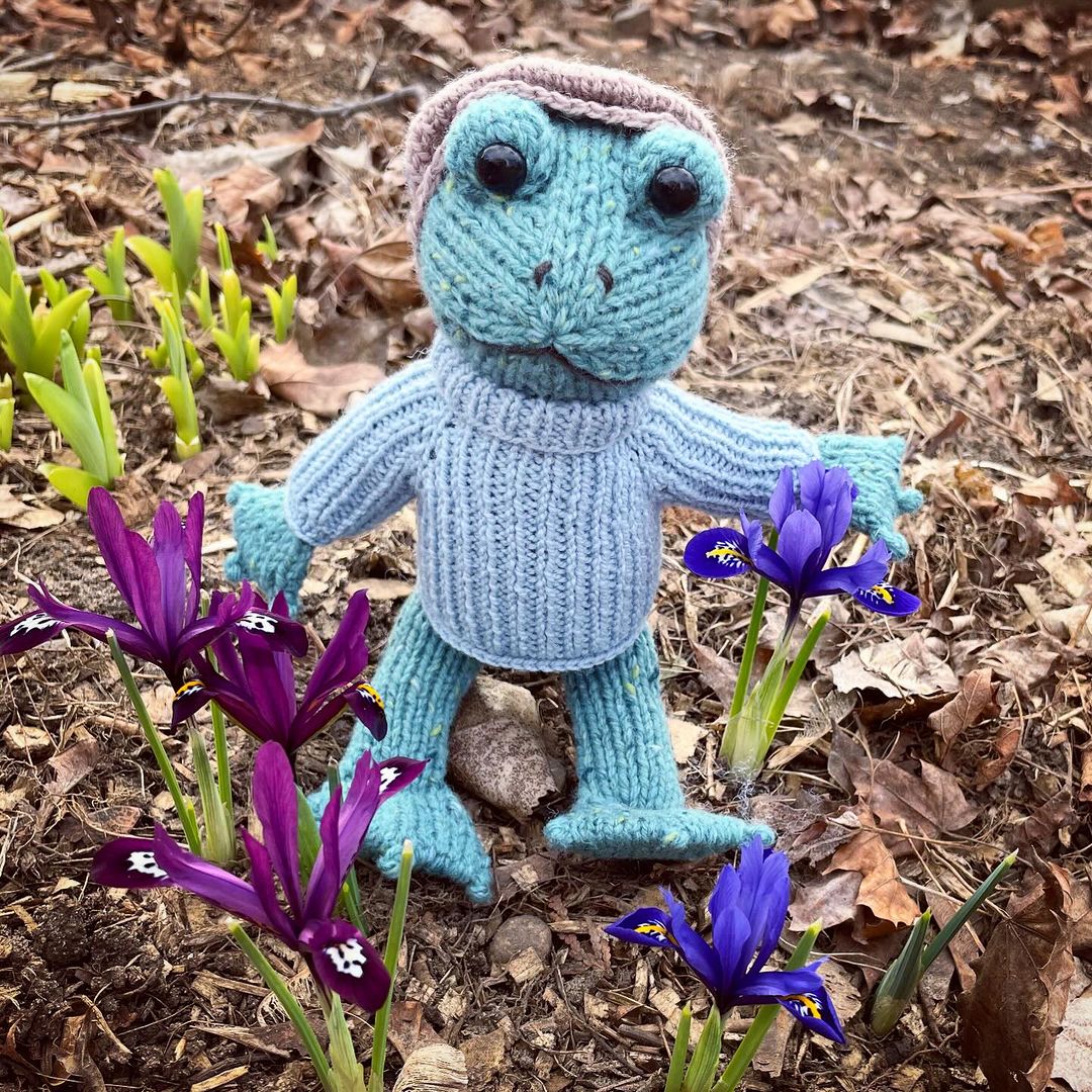 Frog Knitting Pattern